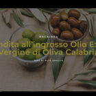 Realizzazione Siti Web Low Cost Professionali by LoWeb Agency